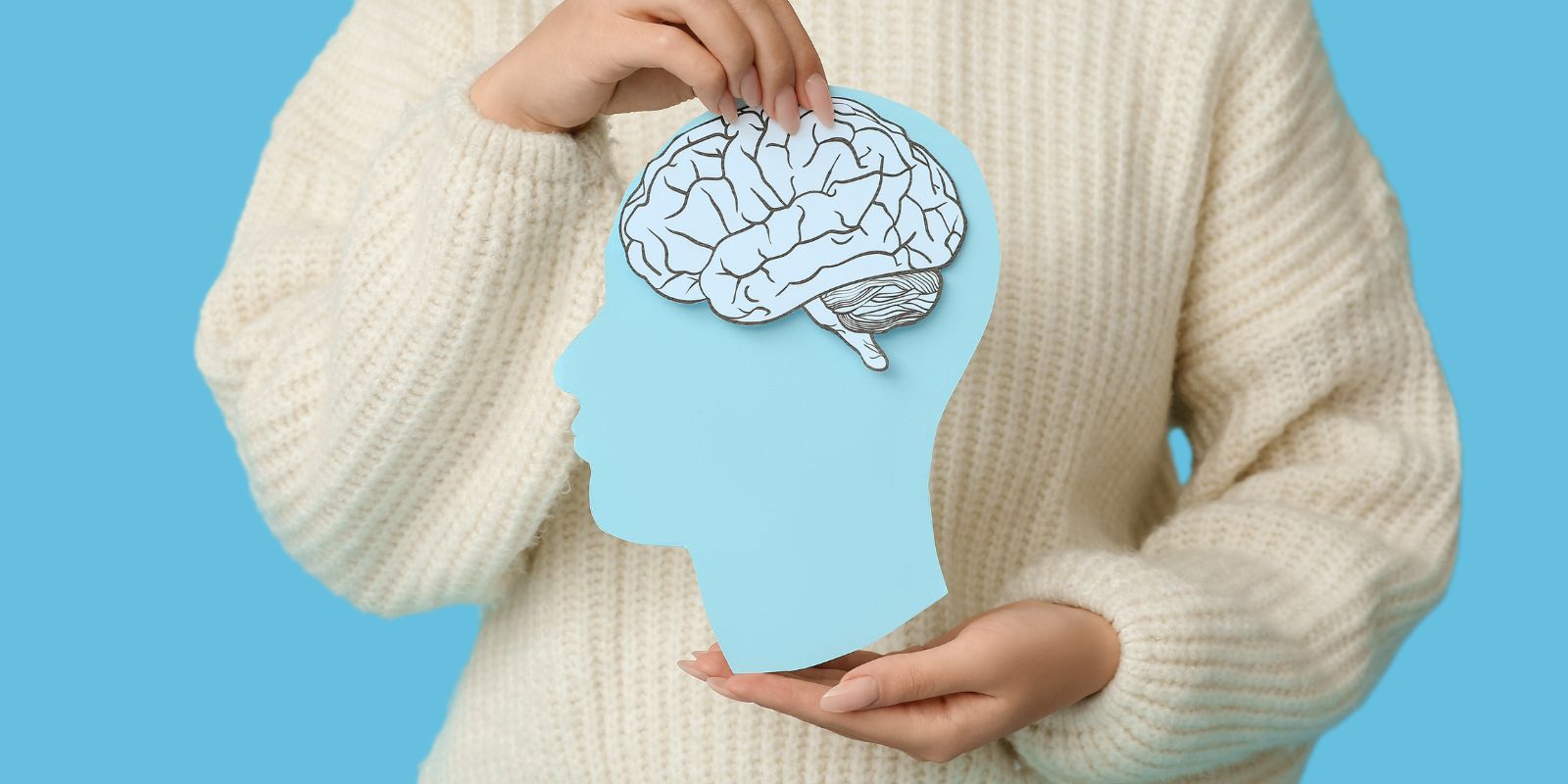 el paso stress therapy and counseling services